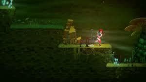 Aventura Na Floresta screenshot 2