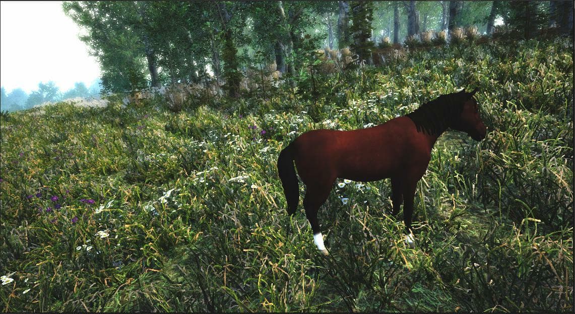 Just Be A Horse screenshot 4