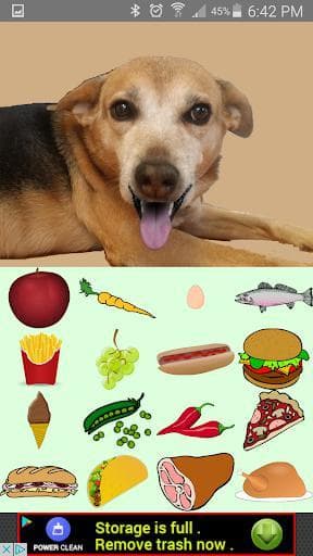 Feed the Cute Dog screenshot 5