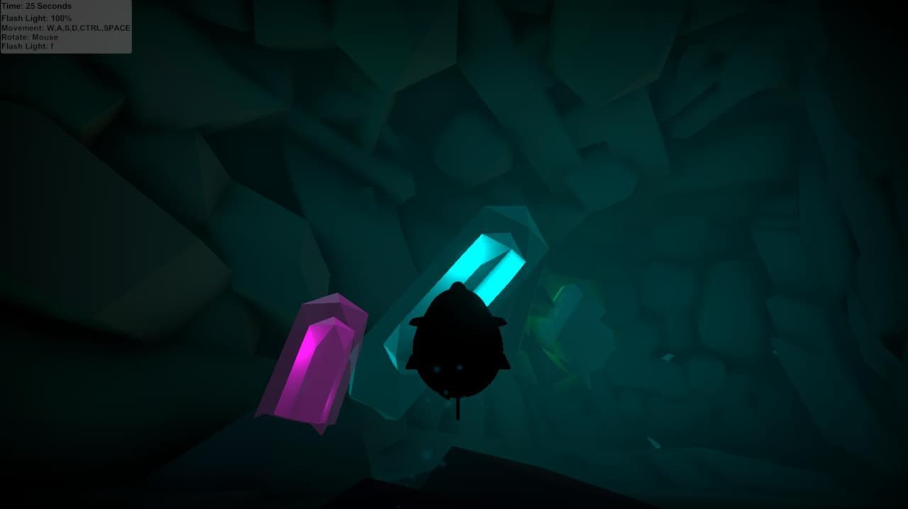 Submarine Cave Exploration