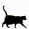Nine Lives (Playdate)
