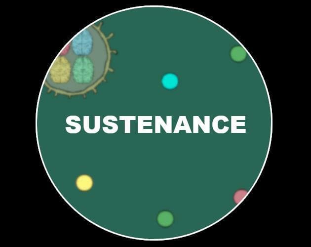 SUSTENANCE
