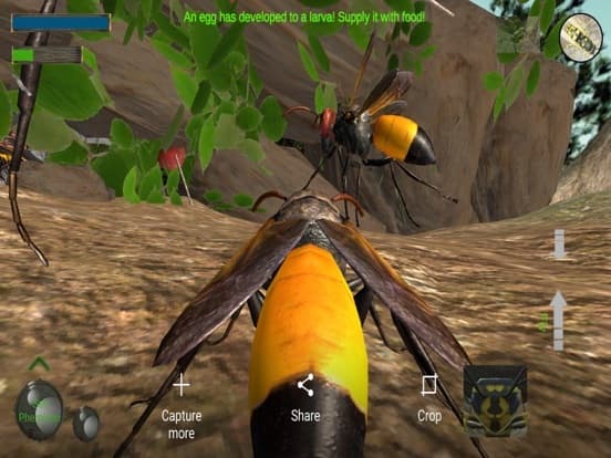 Wasp Nest Simulation Full screenshot 3