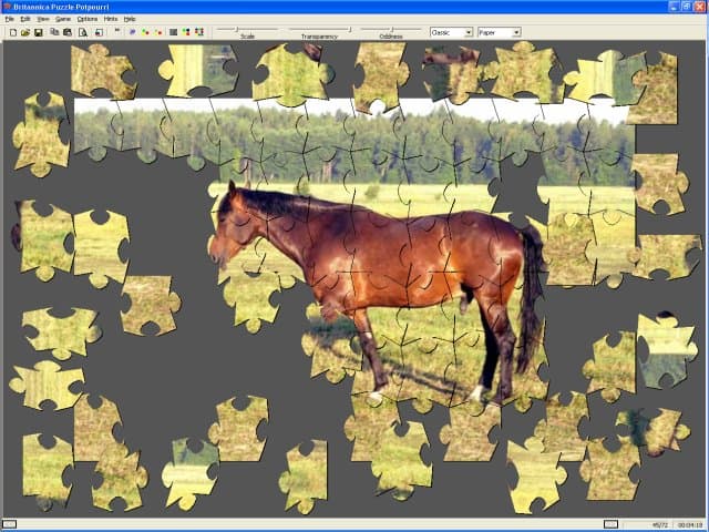 Britannica Puzzle Potpourri screenshot 2