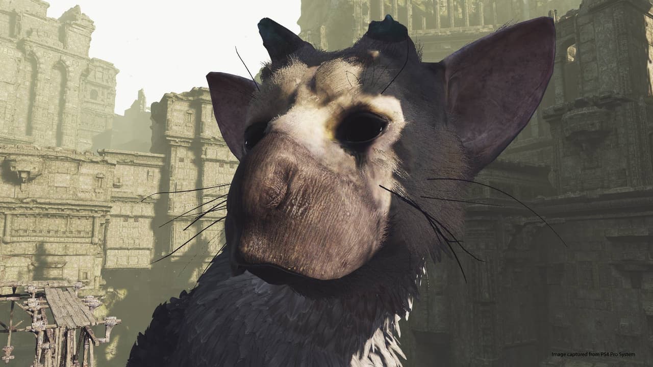 The Last Guardian VR Demo screenshot 4