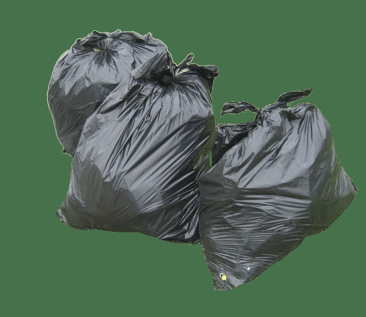 Walking Trash