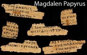 papyrus (bible-papyrus) screenshot 2