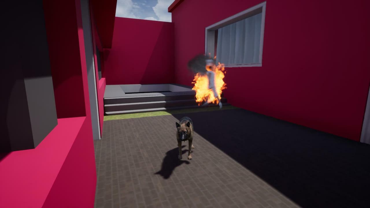 My Dog Hogan screenshot 2