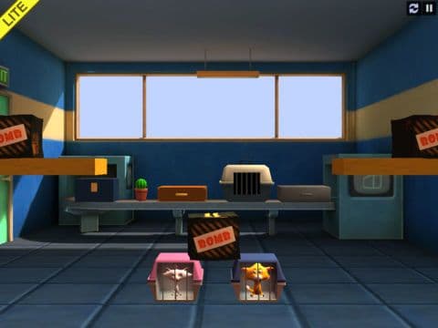 Crazy Cats Love Lite screenshot 3
