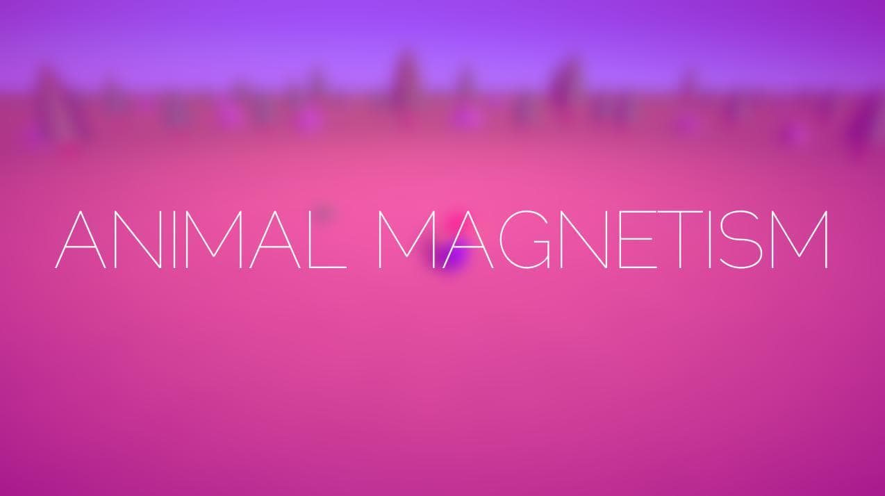 ANIMAL MAGNETISM screenshot 2
