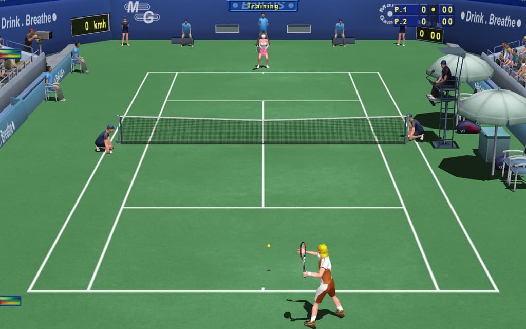 Tennis Elbow 2013 (itch)