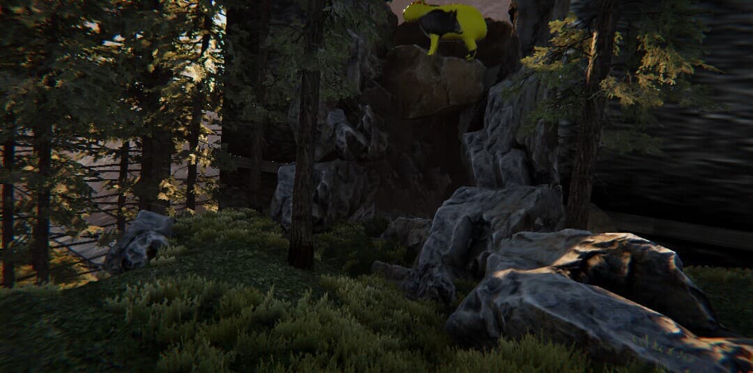 Valora Survival