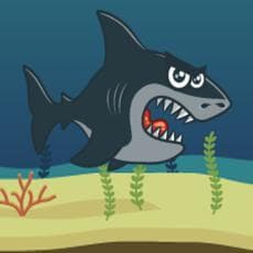 Survivor Shark