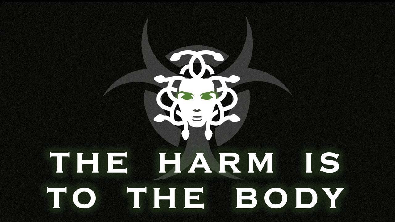 THE HARM IS TO THE BODY screenshot 2