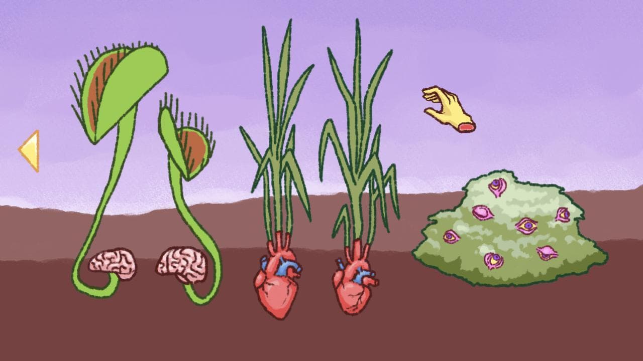 Fleshy Friend screenshot 3