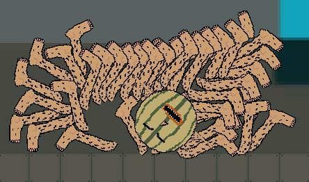 Cantaloper screenshot 3