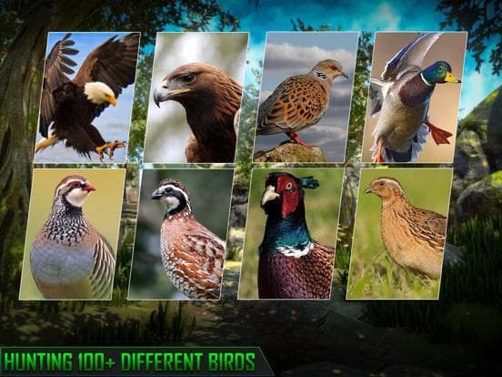 Hunting Game 2021 Wild Animal screenshot 4