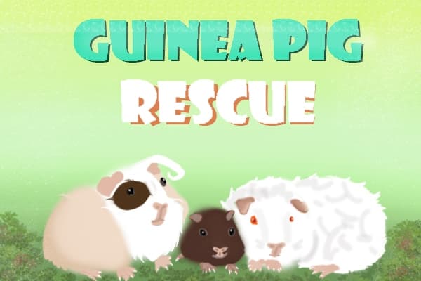 Guinea Pig Rescue