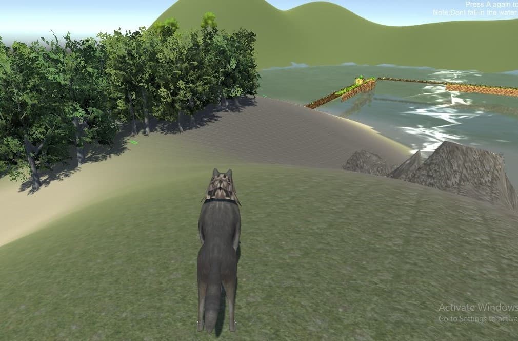 Wolf In Jungle