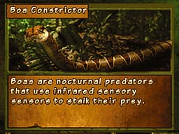 Discovery Kids Snake Safari screenshot 4