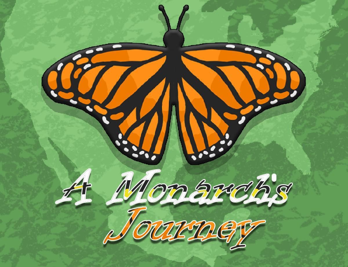 A Monarchs Journey