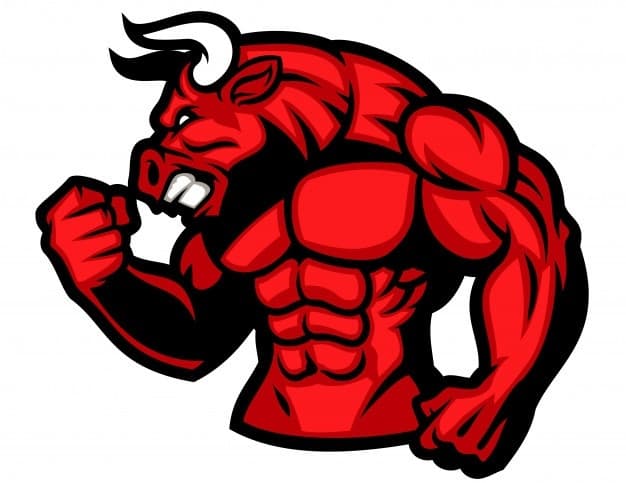Banteng Ngamook