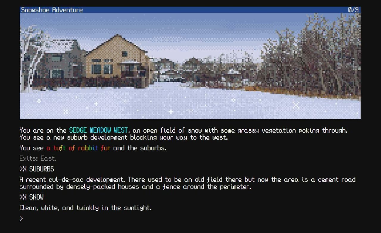 Snowshoe Adventure screenshot 3