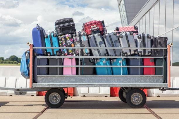 luggage carrier