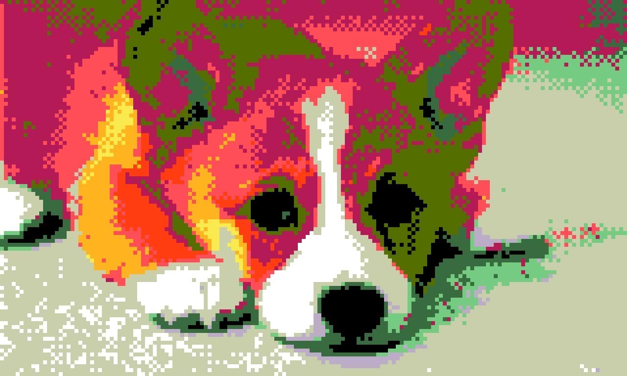 CORGI SUMMER SCHOOL: SUPREME COURT EDITION screenshot 3