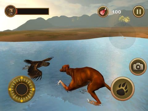 Bird Dog Chase Simulator screenshot 3