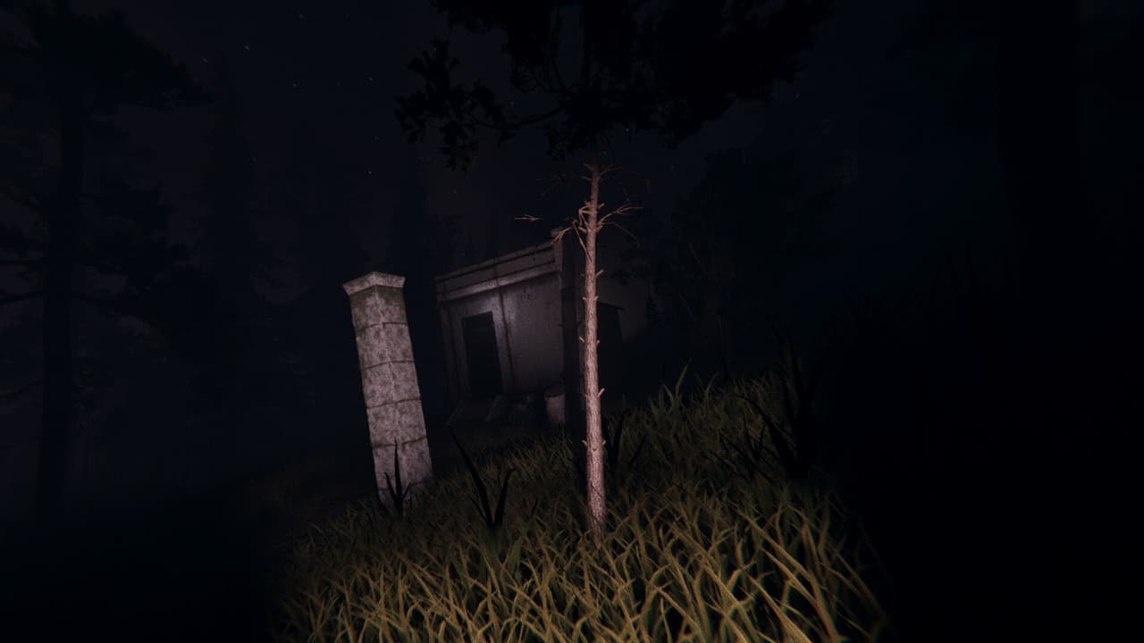 Slender - Dark Woods screenshot 3
