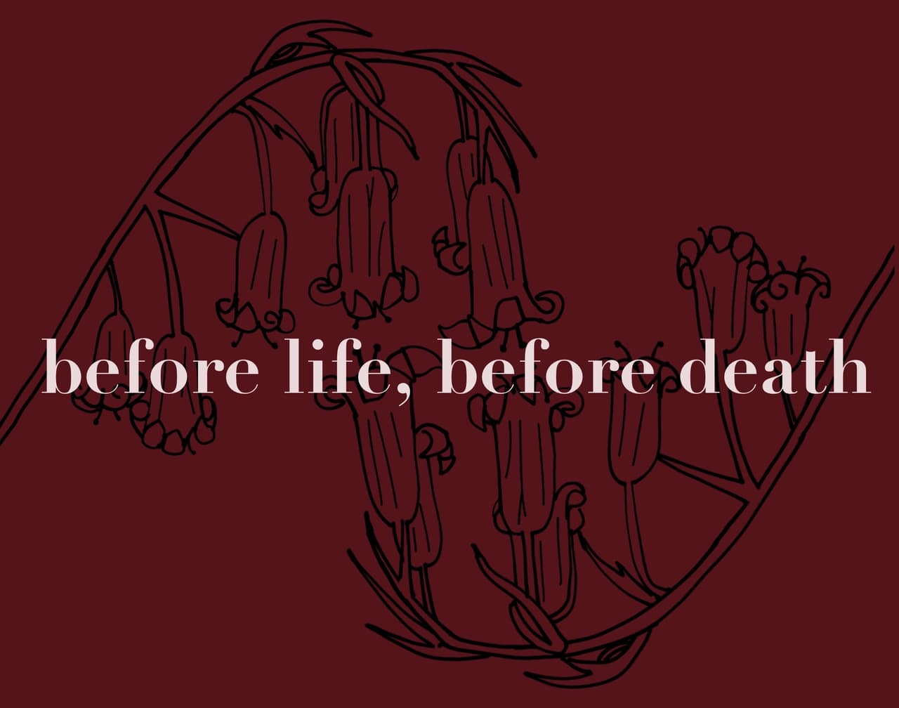 before life, before death
