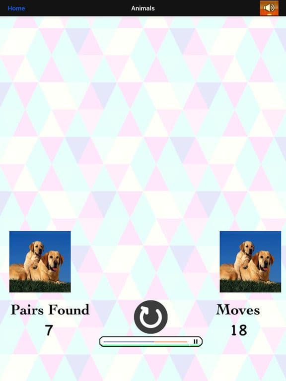 Match Card Pair: Premium!