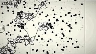 Flowers in the frame