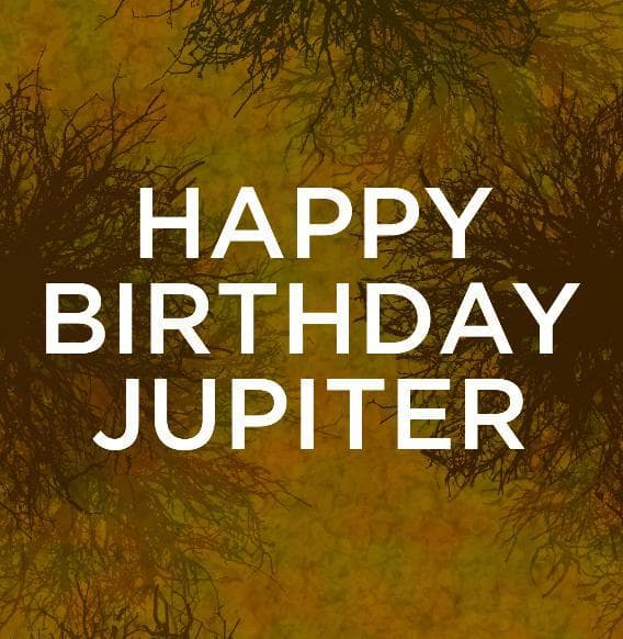 Fifty Five Seconds Of Being Meaninglessly Chased By Jupiter Hadley In The Woods