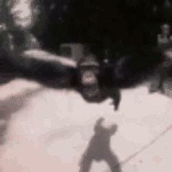 redacted DEMO
