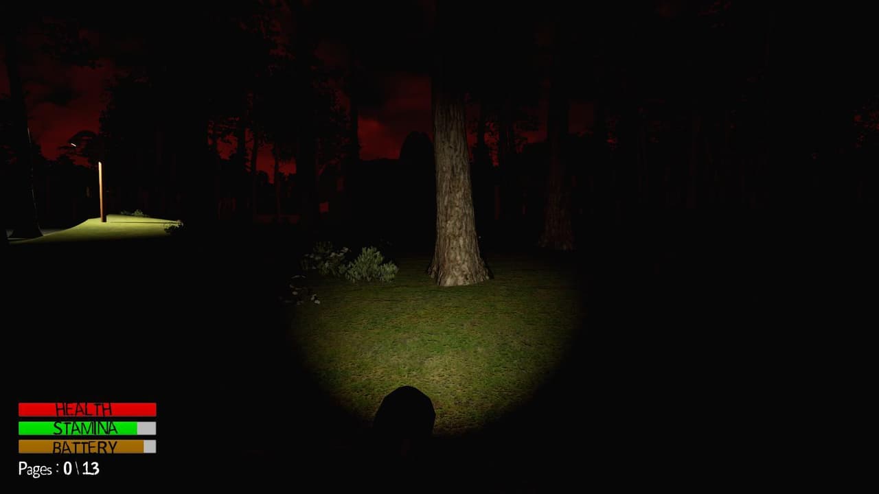 The disappearance of Springcreek screenshot 3