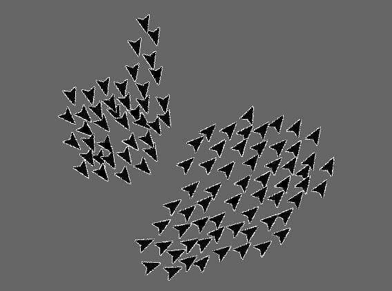 Boids (JeffreyHale)
