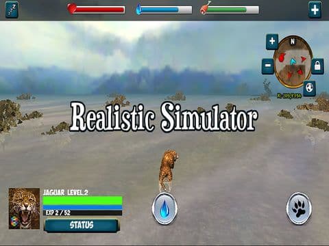 My Jaguar Simulator