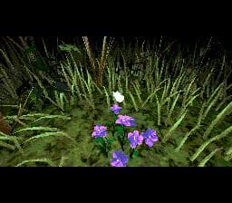 Mansion of Hidden Souls screenshot 3