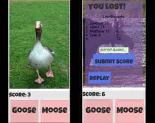 Goose Or Moose