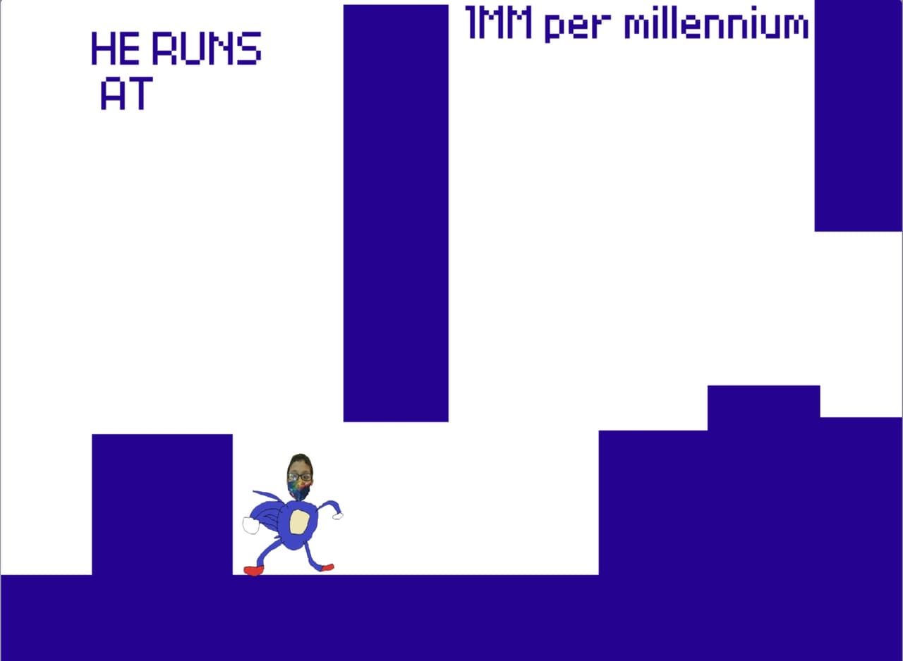 Sehajic the Hedgehog: Celebration Edition screenshot 4