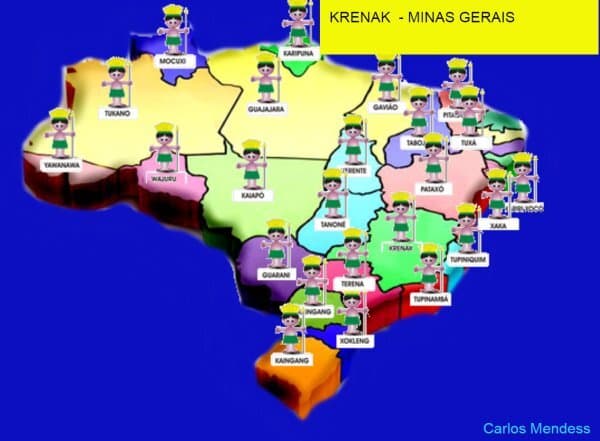 indiginasbrasil