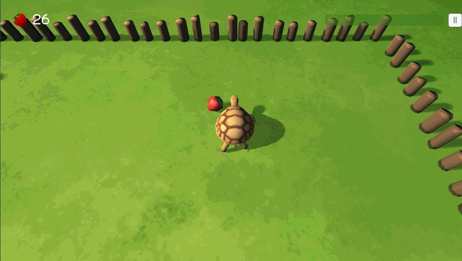 tortoise treat screenshot 5