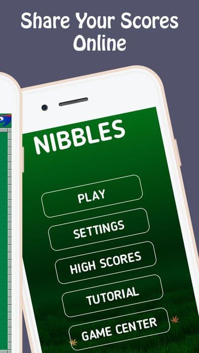 Nibbles - Snake Chase