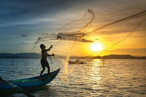 Fishing Fever