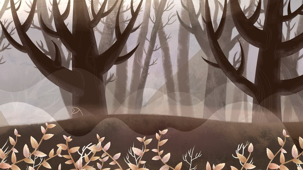 Deep in the Woods screenshot 3