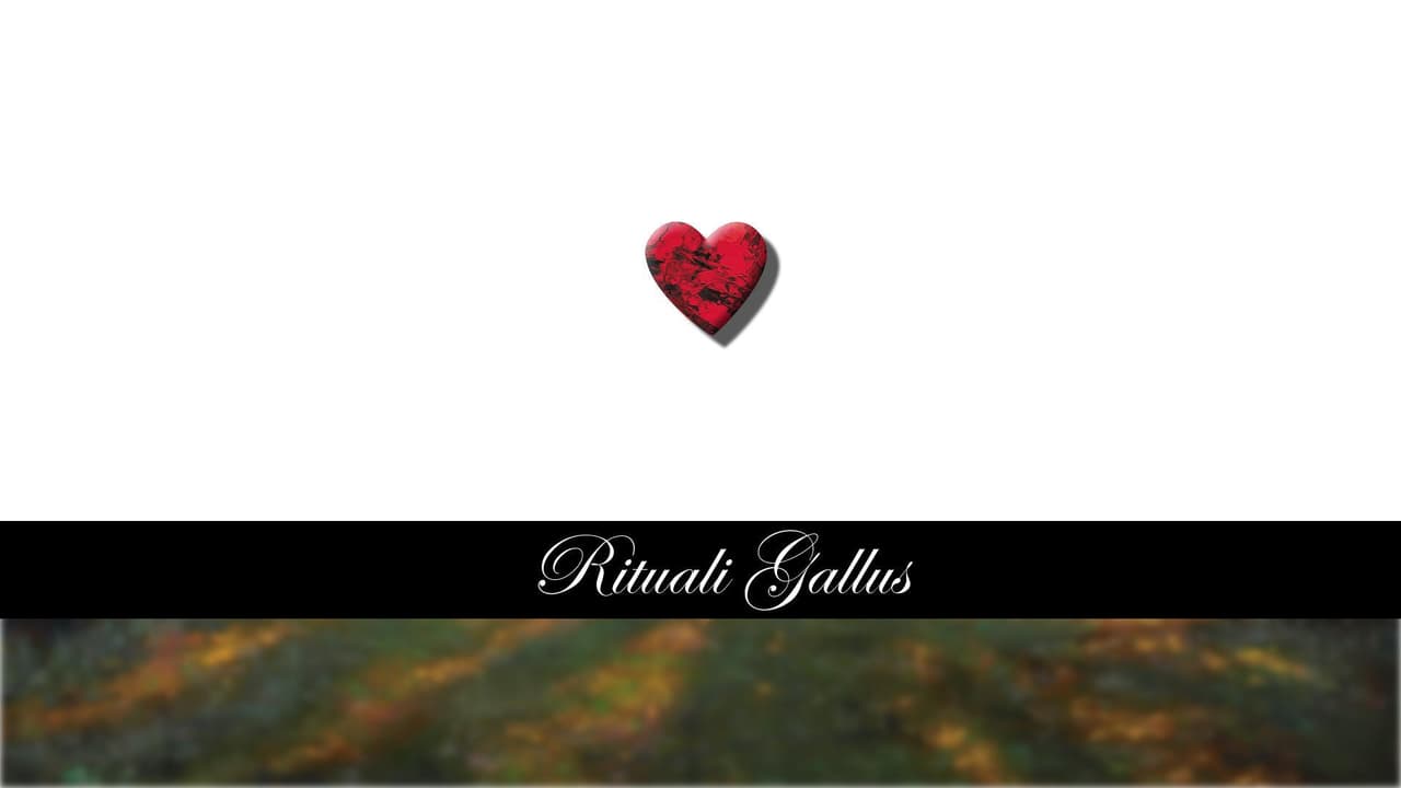 Rituali Gallus