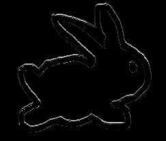 The running bunny