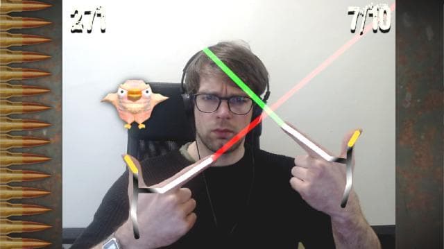 Skin Birds